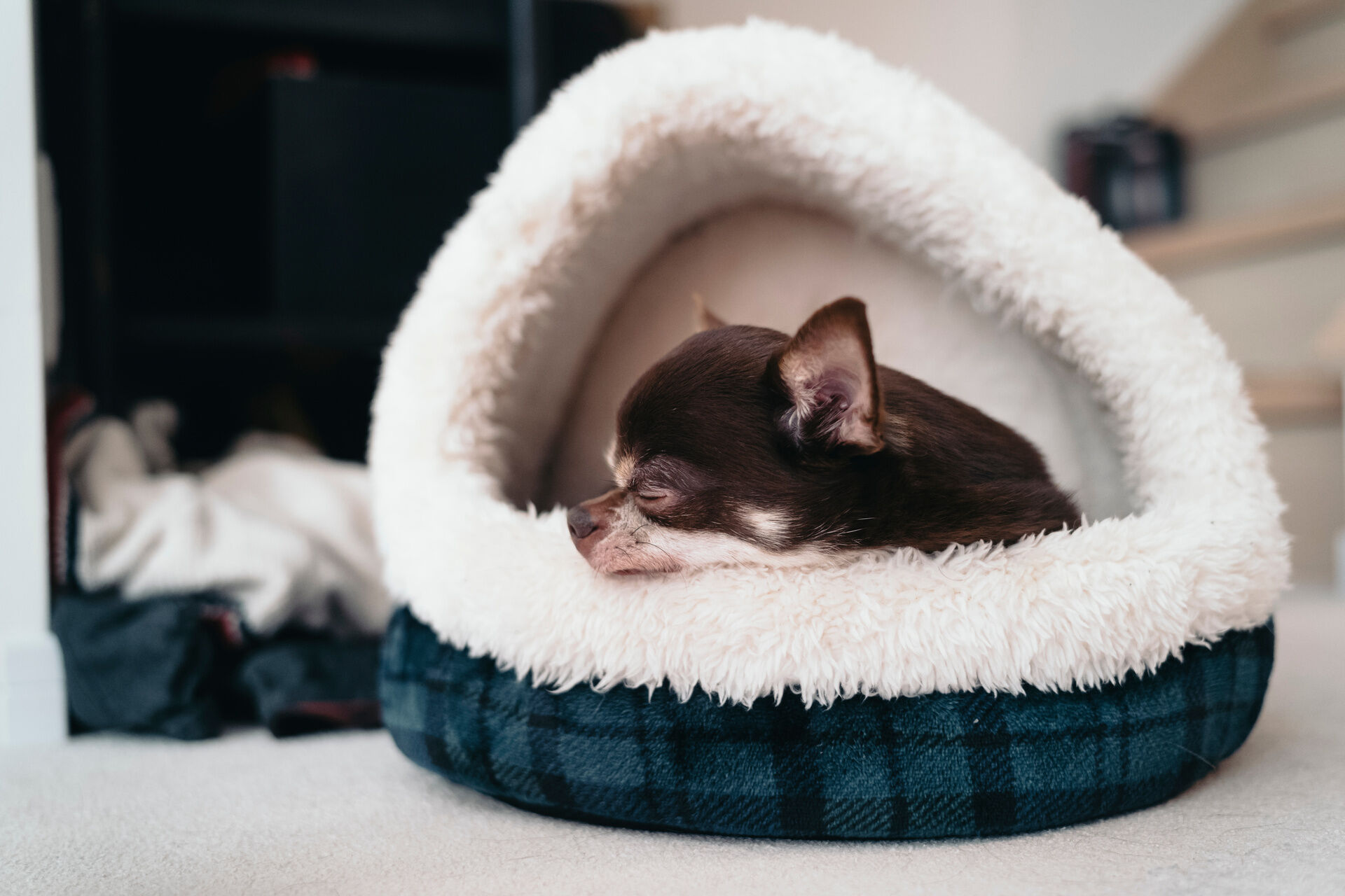 AdobeStock_202774936