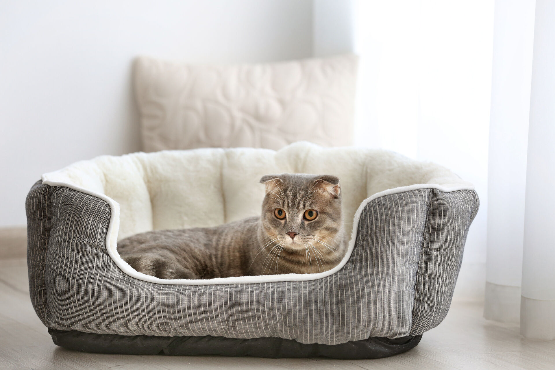 AdobeStock_134670819