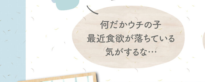 何だかウチの子 最近食欲が落ちている 気がするな…
