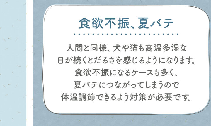 食欲不振、夏バテ 人間と同様、犬や猫も高温多湿な 日が続くとだるさを感じるようになります。 食欲不振になるケースも多く、 夏バテにつながってしまうので 体温調節できるよう対策が必要です。