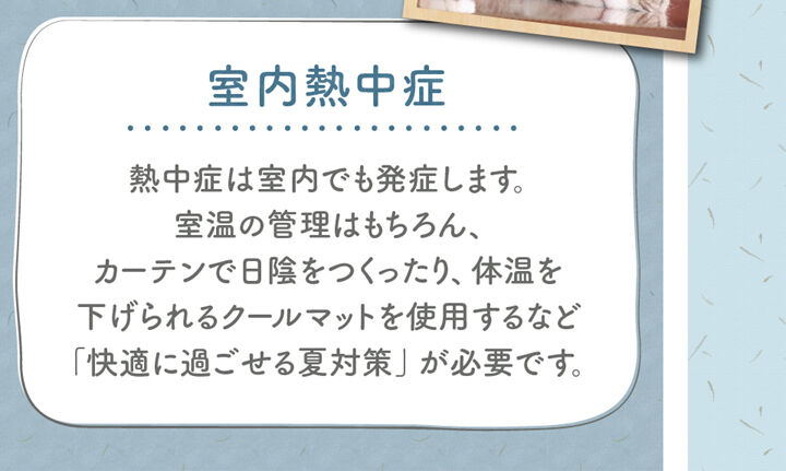 室内熱中症 熱中症は室内でも発症します。 室温の管理はもちろん、 カーテンで日陰をつくったり、体温を 下げられるクールマットを使用するなど 「快適に過ごせる夏対策」が必要です