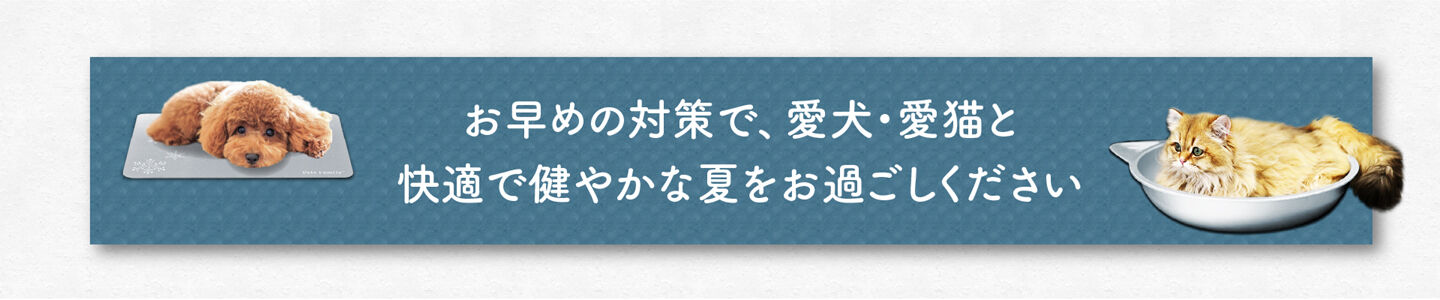 お早めの対策で、愛犬・愛猫と快適で健やかな夏をお過ごしください